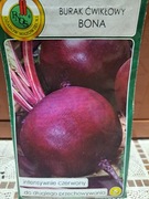 Burak ćwikłowy 'Bona' nasiona