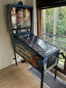 Flipper Naga Braoń 3