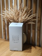 Nowy obiektyw Panasonic Lumix S 24-60 mm f2.8 5 lat gwarancji