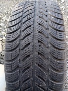 205/55R16 Dębica frigo 