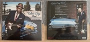 THE ROBERT CRAY BAND - Nothin But Love Winyl