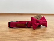 Czerwona obroża ze zdejmowaną kokardą r. S 25-37cm