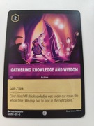 Gathering knowledge and wisdom