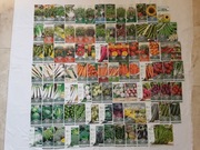 Nasiona warzyw,pomidor,salata,por,inne,kwiaty