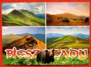 Bieszczady Tarnina, Połonina Caryńska, widok z Krzemienia, Szeroki Wierch