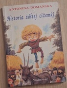 Historia żółtej ciżemki Antonina Domańska 
