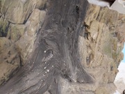 Tło strukturalne do akwarium ..