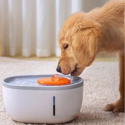 Automatyczna Fontanna ZWodą dla Zwierząt Domowych 