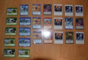 Karty Bakugan - seria czerwona - kolekcja 25 kart