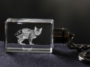 Bengal brelok sześcienny Świecący