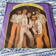 Second Life  - ,,Why '' płyta winylowa