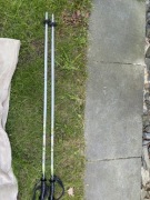 narty zjazdowe dynamic