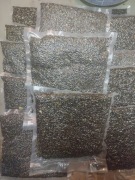 Konopia fermentowana 