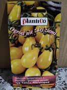 Pomidor "Yellow Pearshaped" koktajlowy wysoki