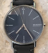 Zegarek męski Skagen Signatur SKW6355