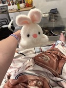 Pluszowy świecący królik