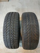 Sprzedam 2 opony zimowe DĘBICA 195/60r15