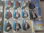 Panini fifa world cup 2014  8 kart expert  