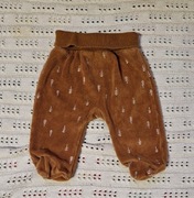 Półśpiochy w rozmiarze 62