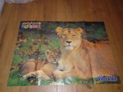 Vibo & Vit Gazetka nr 3 gazeta dla dzieci plakat lwy lwica lewek duży