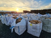 OPAŁ SOSNOWY- BIGBAG