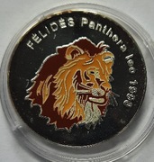 Kongo 500 Francs 1996 Lew kolor