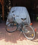 Rower damski marka DYNASTY