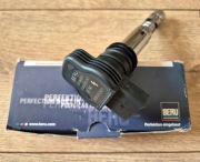 Cewka Beru AUDI A3 A4 A6 TT SEAT SKODA VOLKSWAGEN Bora Golf Passat Polo