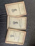 Juliusz Słowacki. Wielka bibljoteka