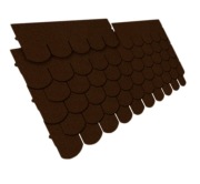 Gont brązowy karpiówka