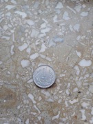 Moneta 1 zł z 1977 r. 