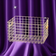 Home&You złoty metalowy kosz druciany z uchwytami Cella 35x25 cm