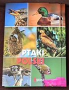 Ptaki Polski- zeszyty w teczce.
