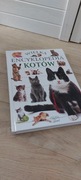 Książka, Wielka Encyklopedia Kotów