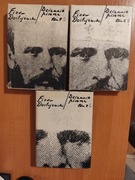 Fiodor Dostojewski, Dziennik pisarza, tom 1-3
