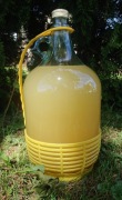 Ocet z kwiatów mniszka lekarskiego 500ml 