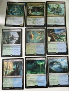 Simic Lądy Zielony Niebieski +gratisy MTG karty Magic the Gathering