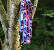 Smycz miejska taśma 2,5 cm długość 2 m