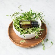 Olejek eteryczny THYME tymianek doTERRA 15ml