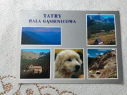 Tatry Hala Gąsienicowa - 5 widoków (10)