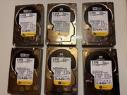 6 dysków WD 2TB 3.5'' SAS Enterprise storage