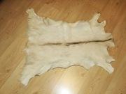 SKÓRY KOZIE WYPRAWIONE - wymiar ~50 x 80 cm