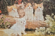 Puzzle play Time Cat family 500