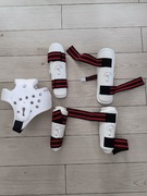 Ochraniacze Taekwondo 