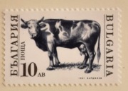 Bułgaria  1991 FAUNA Mi 3885 krowa  czysty ideał