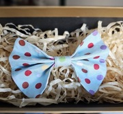 Muszka dla psa kota kokardka do obroży na gumce niebieska w kropki