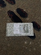 Brykiet PWPW 100 ZŁ profesjonalnie zniszczonych banknotów 100000 ZŁ