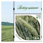 Znaczek Fi 5458** (2025) Rośliny uprawne