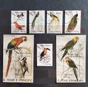 Ptaki egzotyczne z22