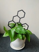 Podpora do roślin podpórka do kwiatów Heksagon